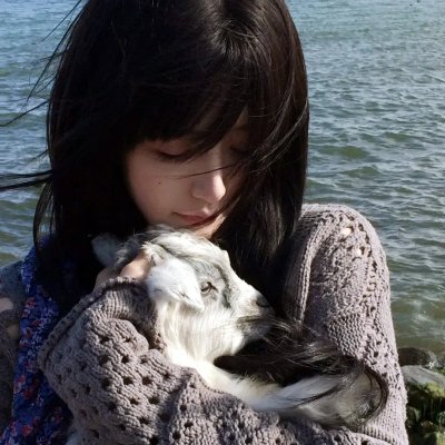 大搜查之女国语